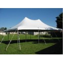 20' x 30' Staked Tent