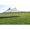 20' x 30' White & Yellow Staked Tent